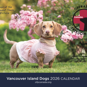 2026 Calendar