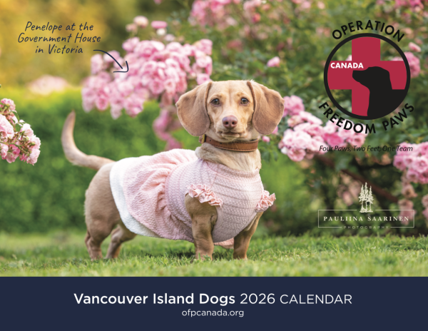 2026 Calendar