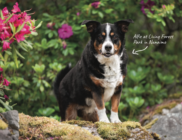 2026 Calendar - Image 2