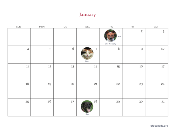 2026 Calendar - Image 3